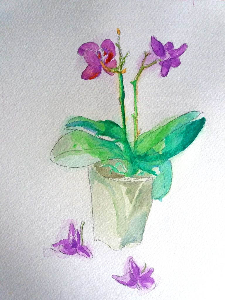 Orchid Watercolor Painting on Paper - Orchid drawing