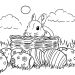 Fise de colorat - Iepurasi de colorat - Bunny Coloring pages