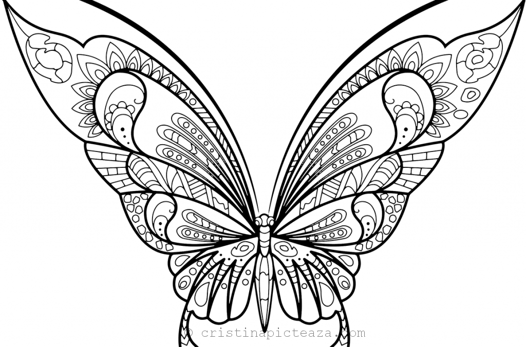 Fluturi de colorat - Butterfly coloring