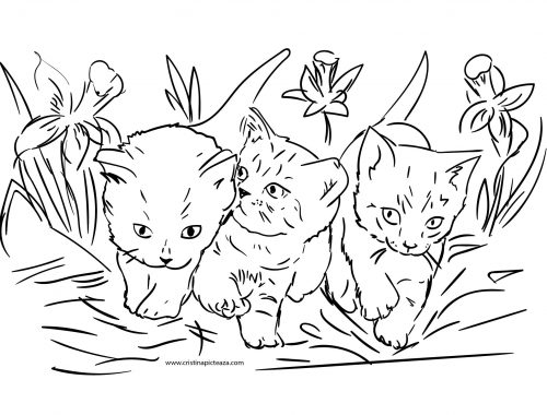 Pisici de colorat - cats for coloring - CristinaPicteaza.com