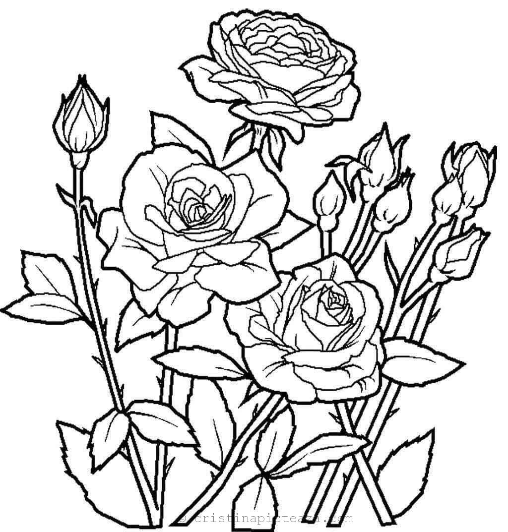 Desene de colorat cu flori si plante Planse cu flori