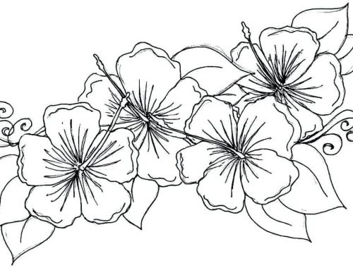 Planse de colorat - flower coloring pages