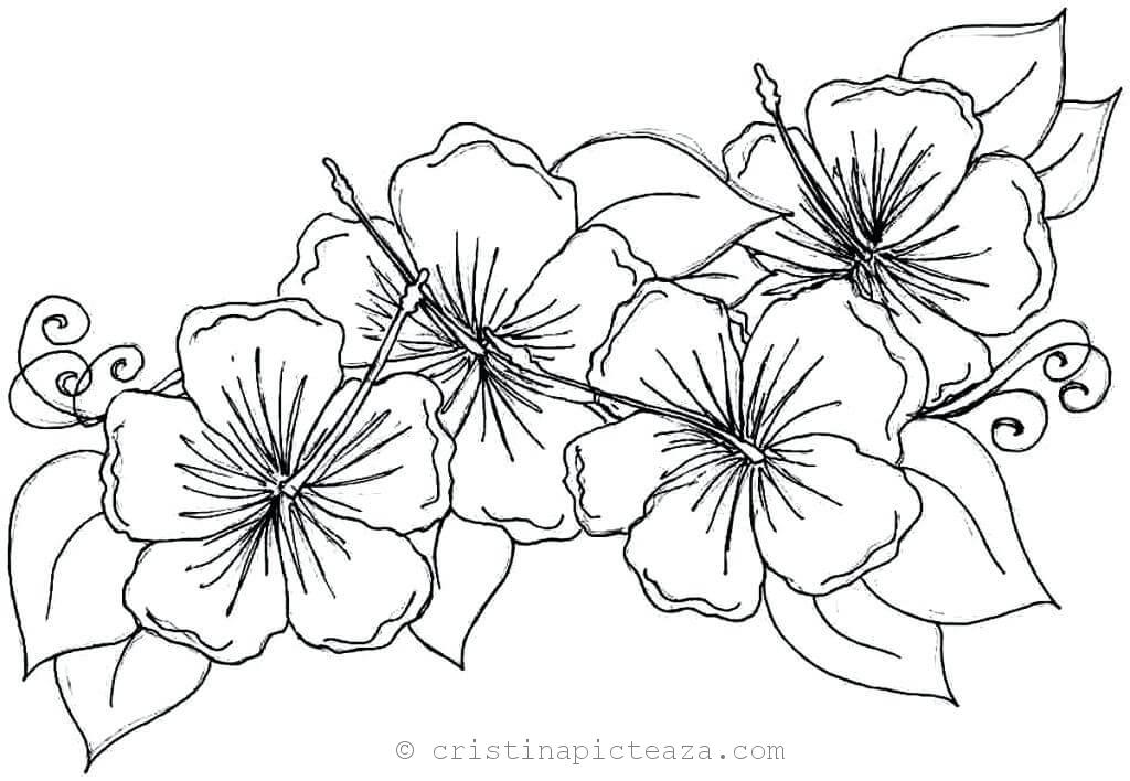 Flower Coloring Pages Coloring Sheets With Flowers