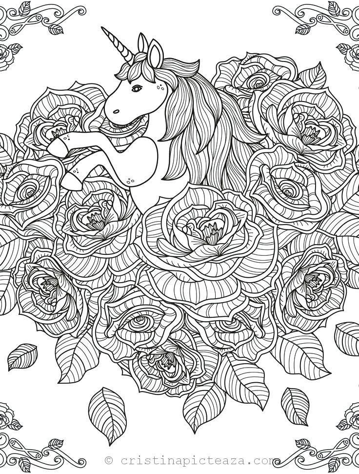 Unicorn De Colorat Planse De Colorat Cu Cai Inaripati