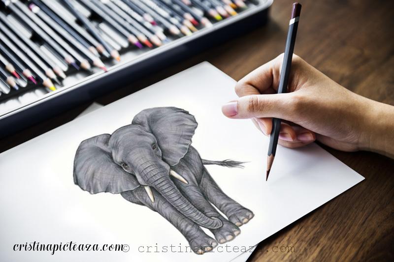 Desen in creion cu elefant