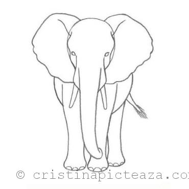 Desen in creion cu elefant - pasul 4