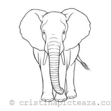 Desen in creion cu elefant - pasul 5