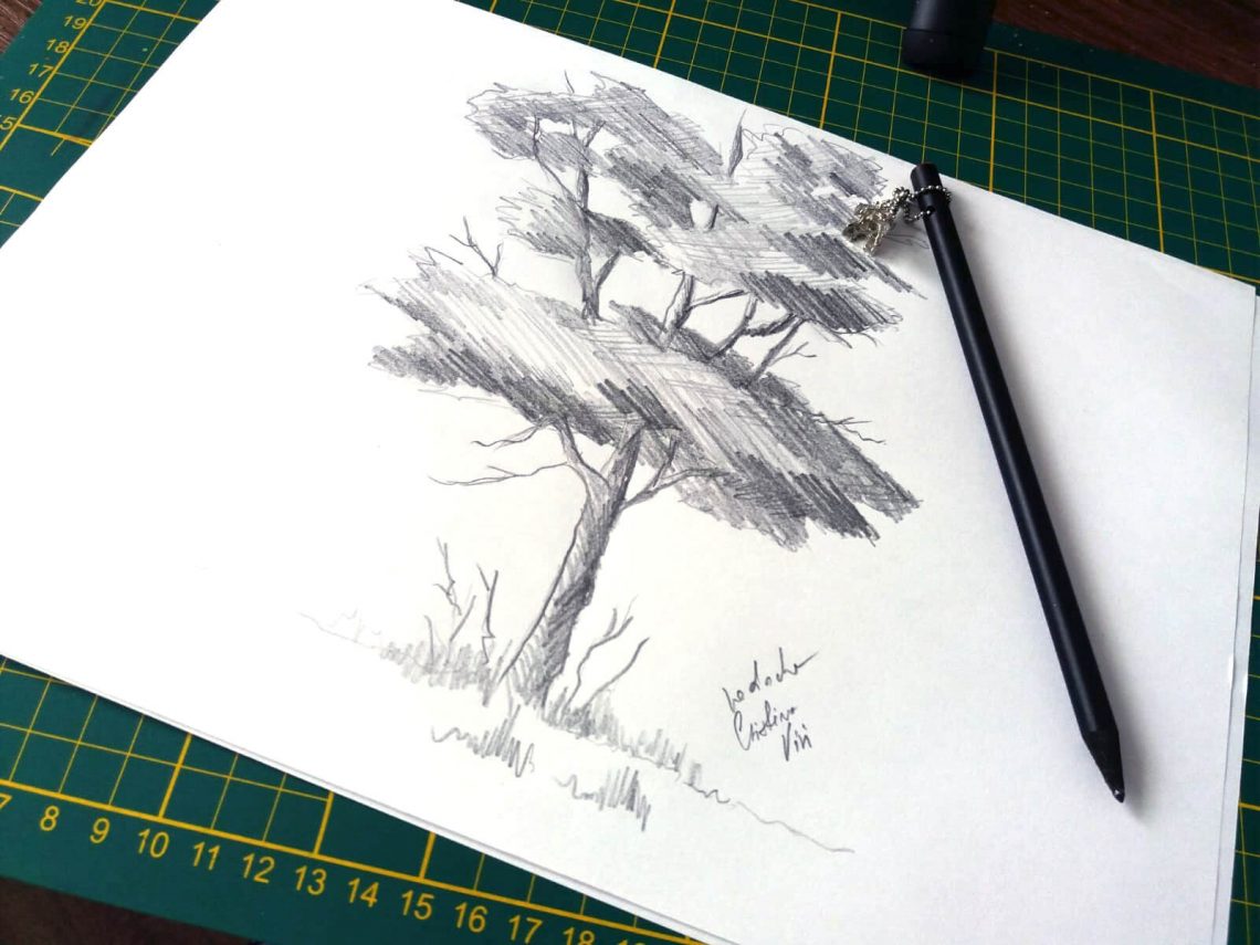 Tree Pencil Drawing On Paper How To Draw A Tree