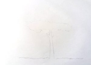 desen in creion - copac 1