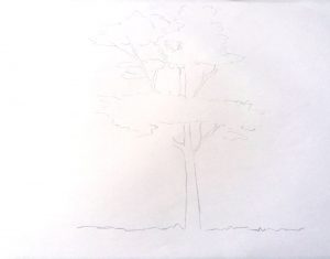 desen in creion - copac 1
