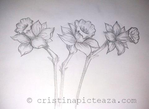 Desene in creion flori de narcisa
