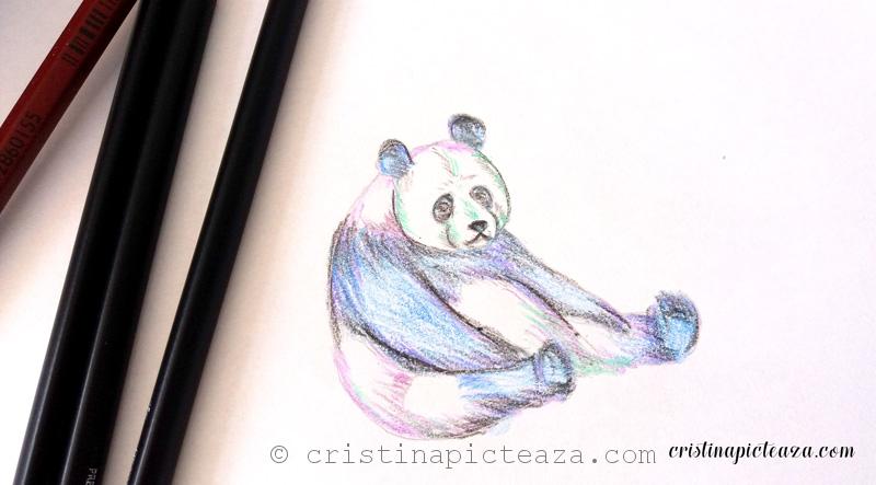 Desene In Creion Cu Animale Urs Panda Schite In Creion