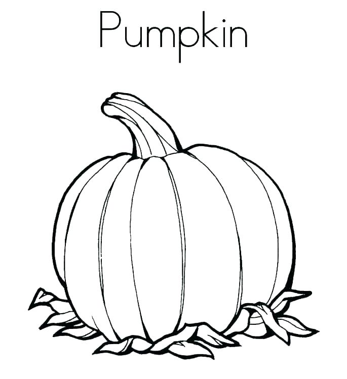 coloring pumpkin